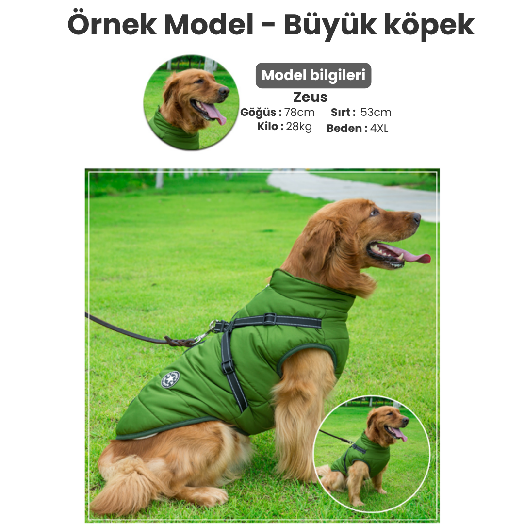 Ankamax Kışlık Mont