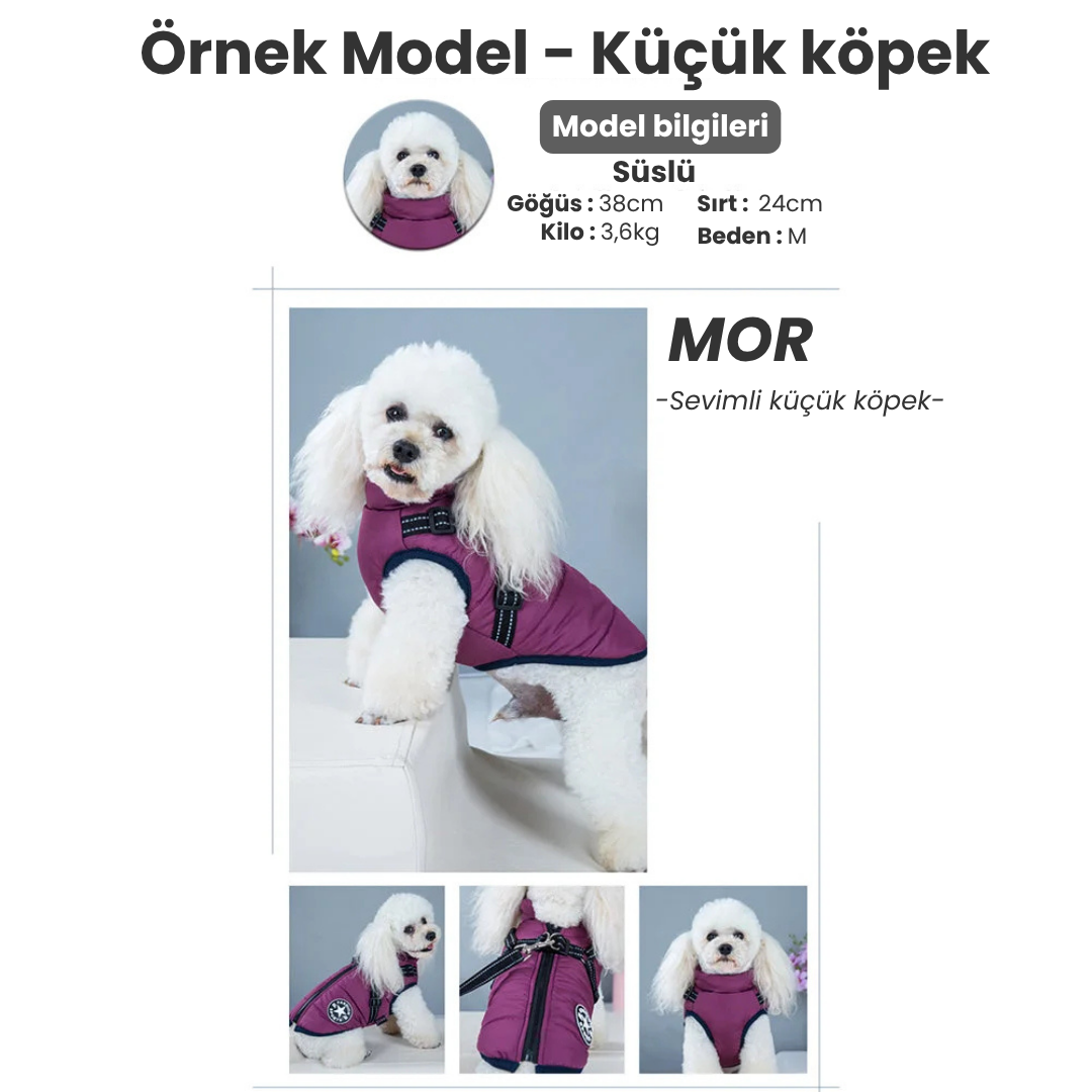 Ankamax Kışlık Mont
