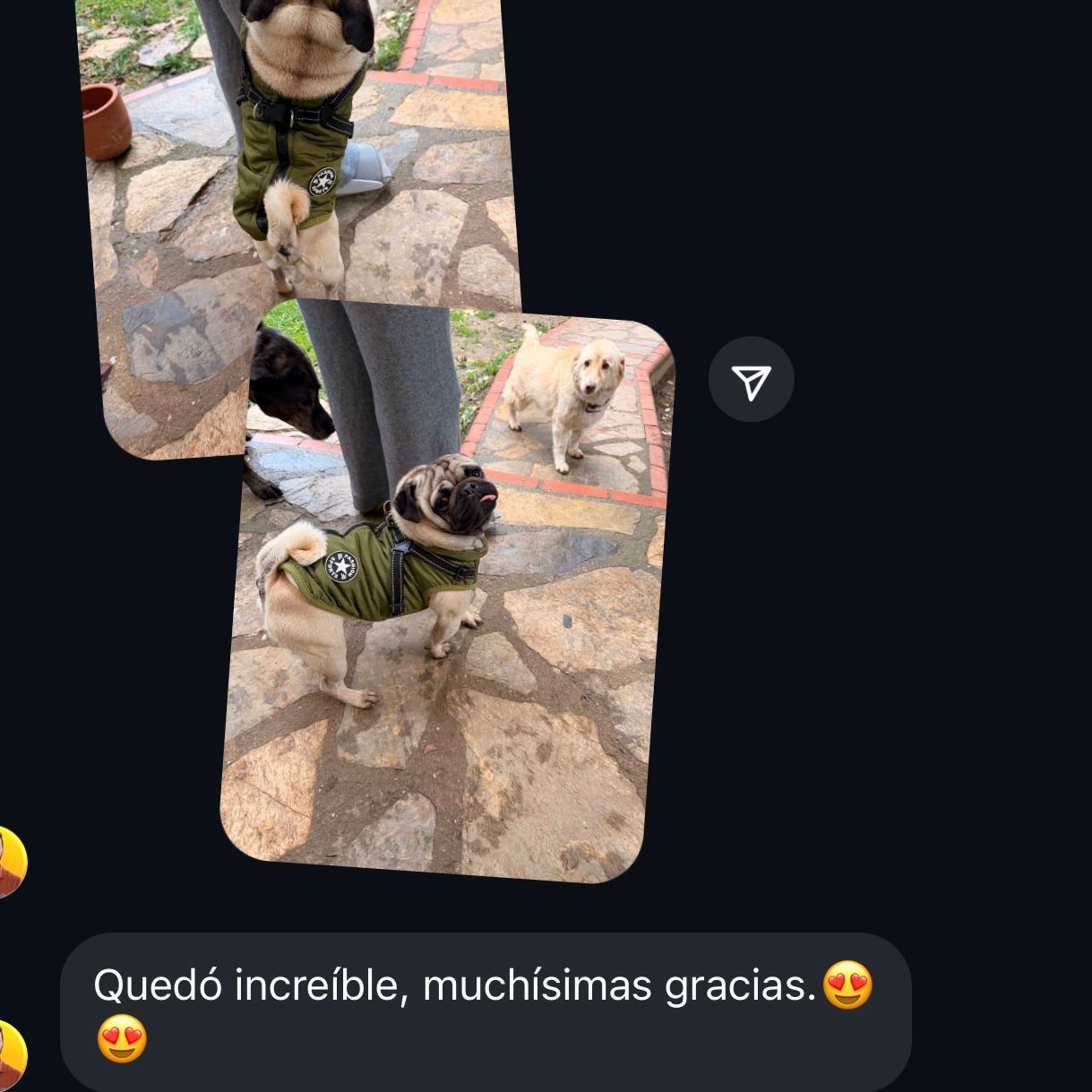 Abrigo para perros Ankamax