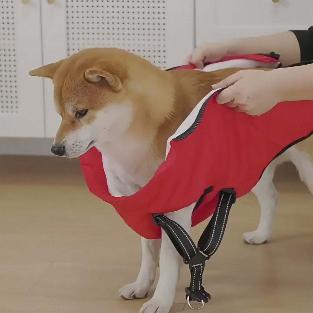 Abrigo para perros Ankamax